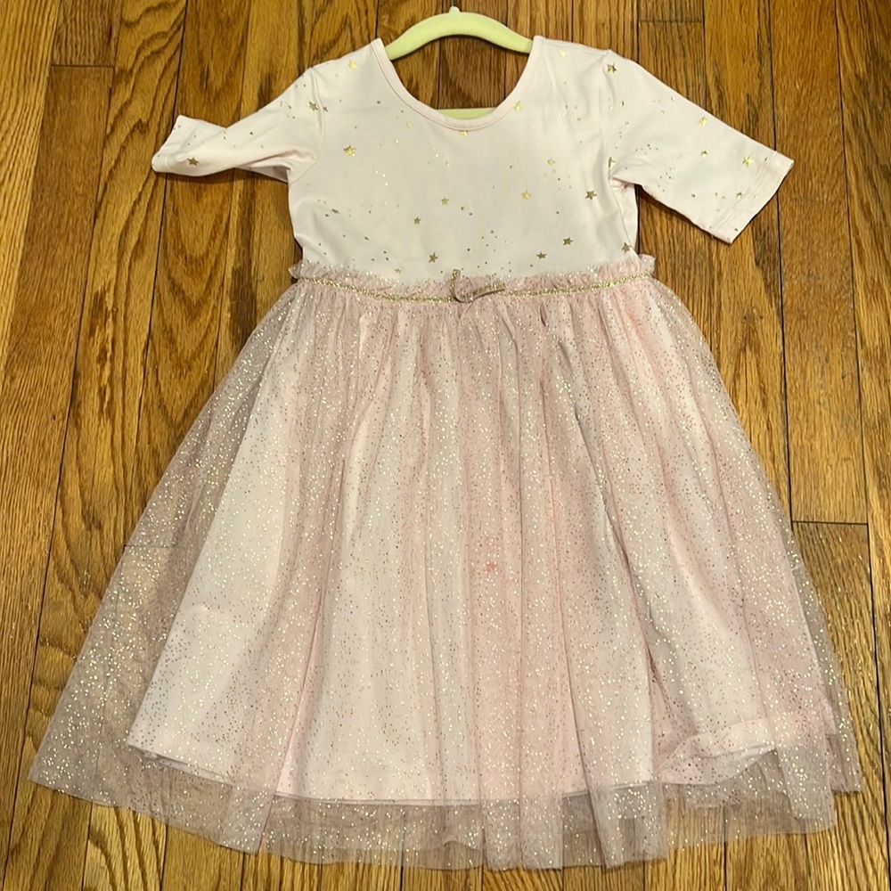 Hanna Andersson tulle dress